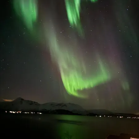 Private In Malangen Northern Lights And Fjord Lejlighed *